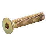 Šroub s hlavou na IMBUS M6x10mm Zn