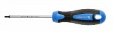 Šroubovák torx T20, 100 mm, ocel S2